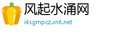 风起水涌网